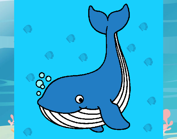 la ballena mas pequeña