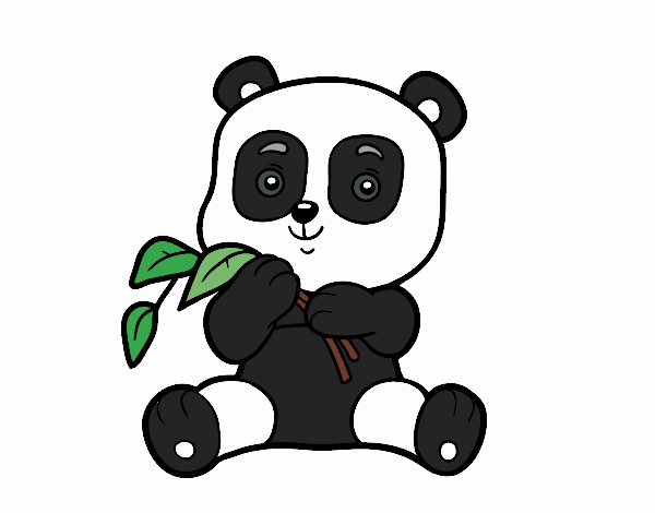 Osito pandita tierno