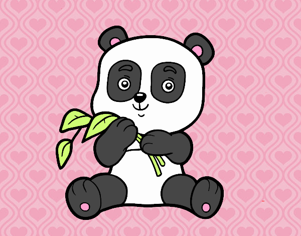 un oso panda