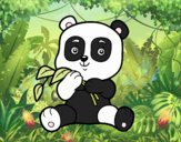 Un oso panda