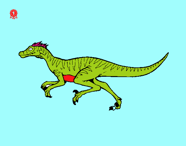 Velociraptor