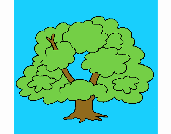 Árbol