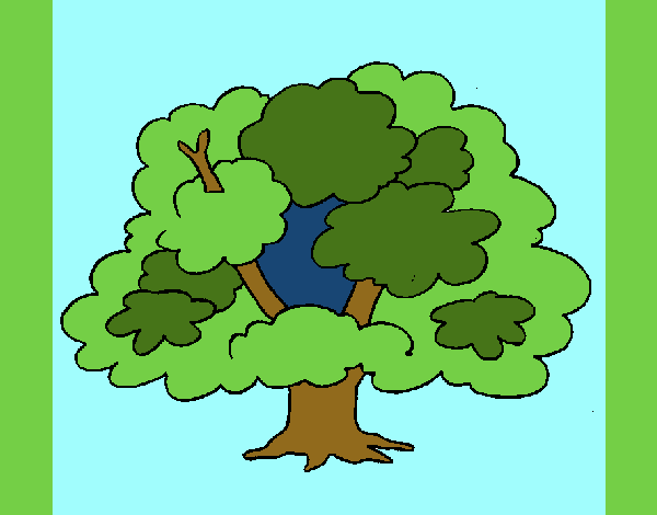 Árbol