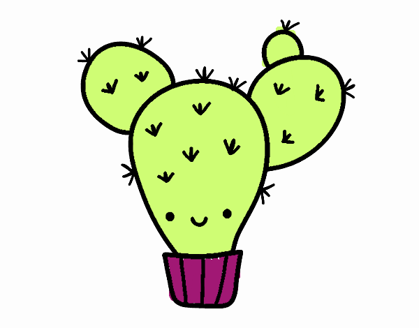 Cactus nopal