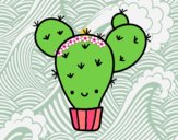 Cactus nopal