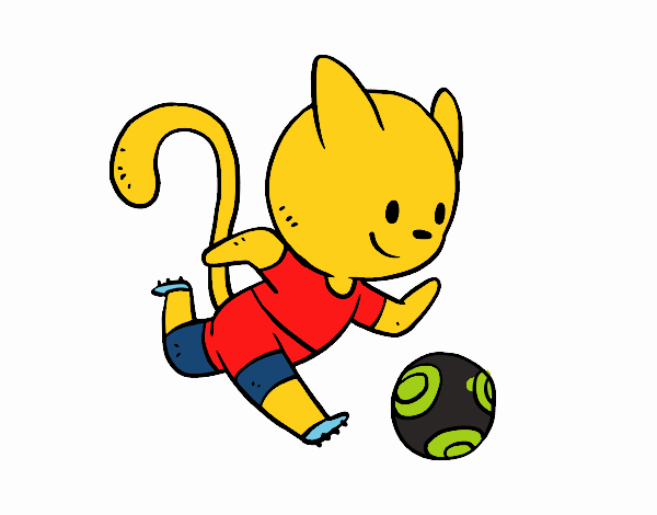 Gato jugando a fútbol