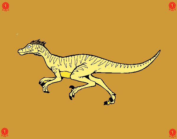 Velociraptor