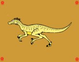 Velociraptor