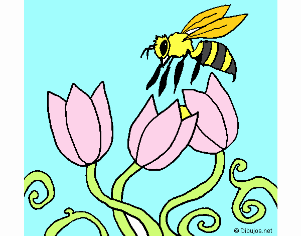 Abeja 3