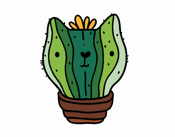 Cactus gato