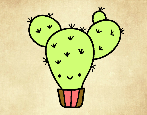 Cactus nopal