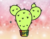 Cactus nopal