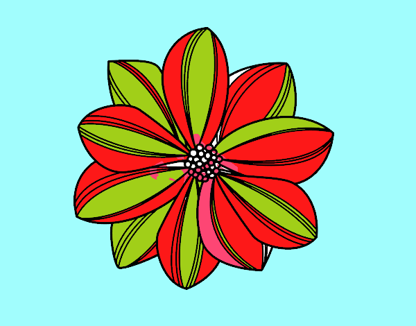 Flor de margarita