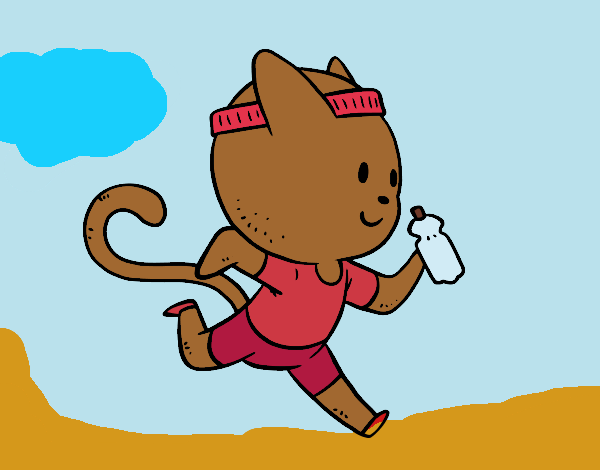 Gato runner