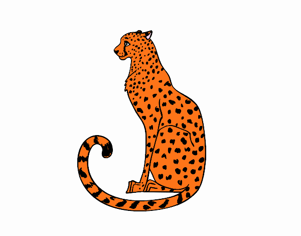 dibujo de leopardo