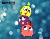 Las crias de Angry Birds