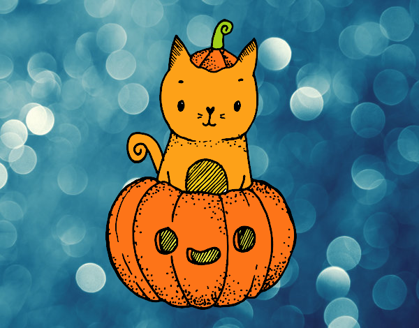 Un gatito de Halloween