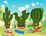 3 mini cactus