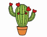 Cactus corazón