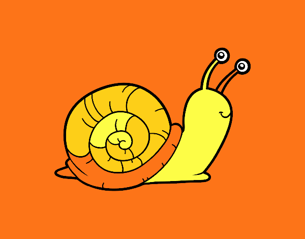 El caracol