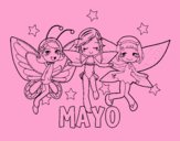 Mayo