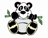 Oso panda