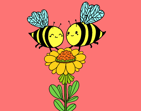 Pareja de abejas