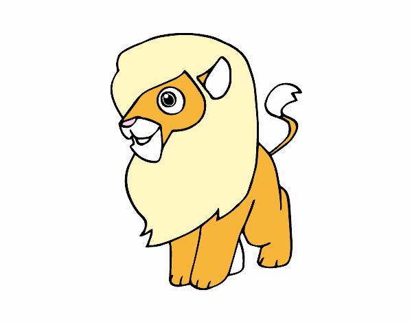 Un león