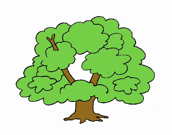 Árbol