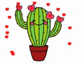 Cactus corazón