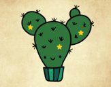 Cactus nopal