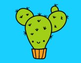 Cactus nopal