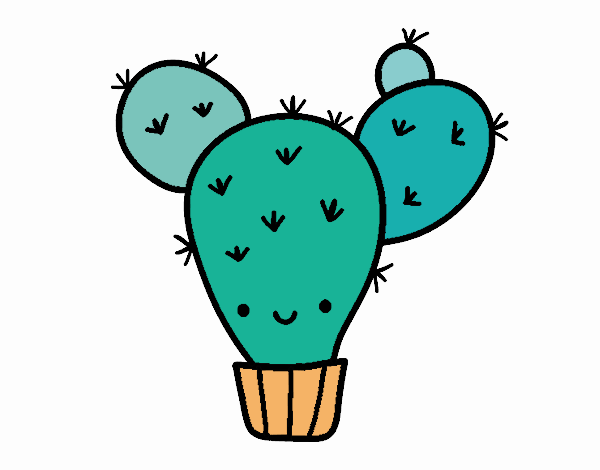 Cactus nopal