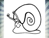 Caracol 1