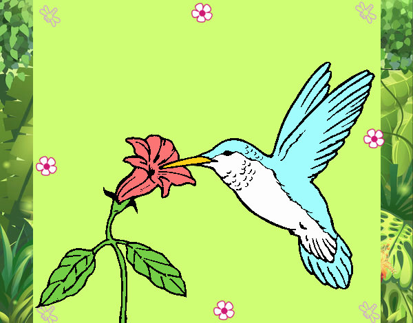 Colibrí y una flor