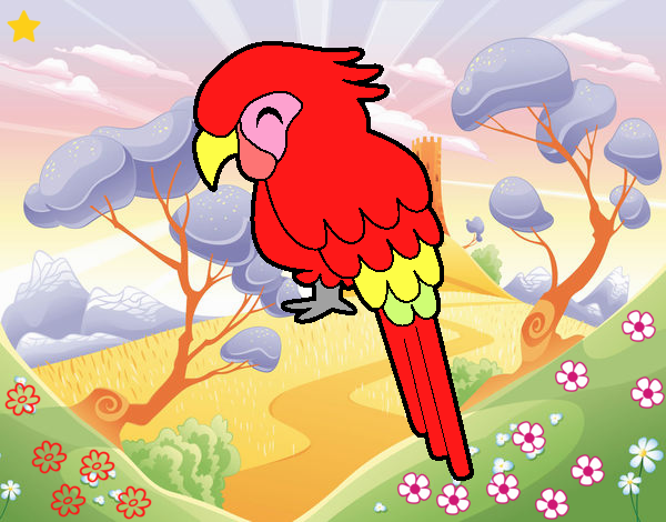 Guacamayo