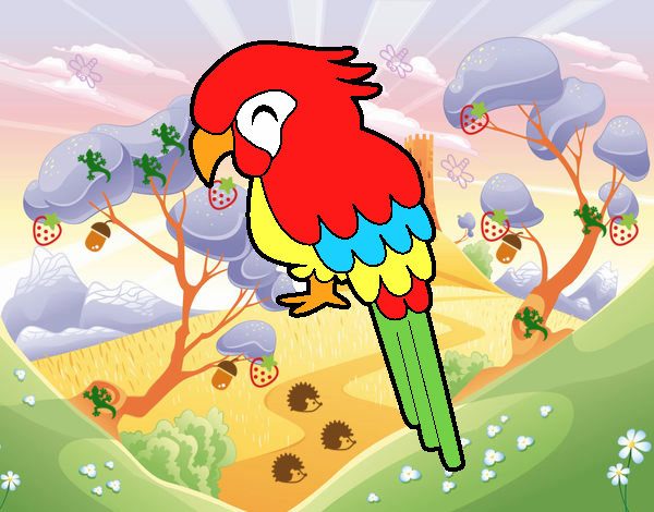 Guacamayo