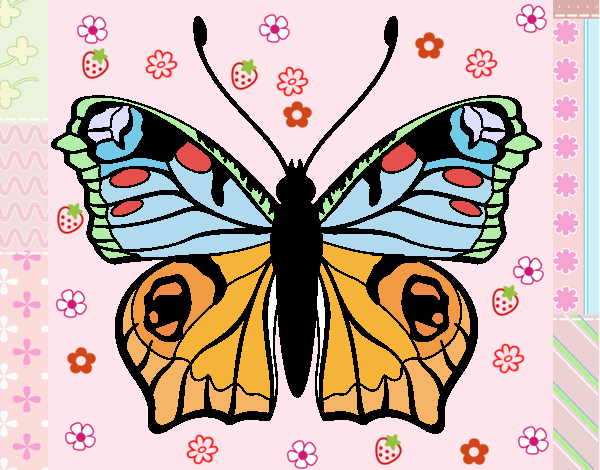 mariposa