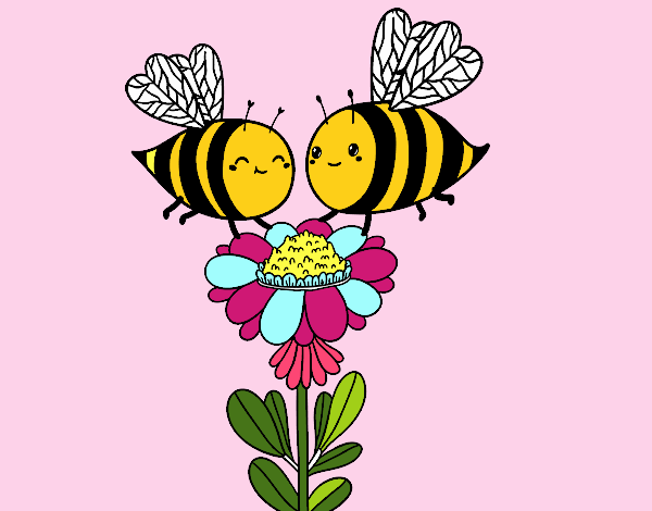 Pareja de abejas