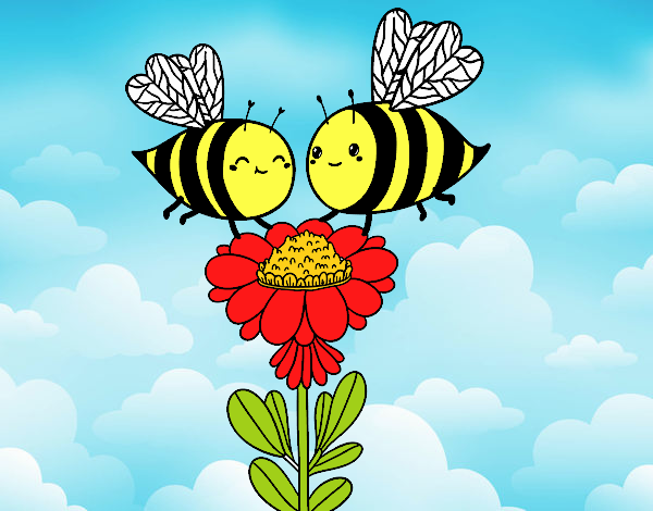 Pareja de abejas