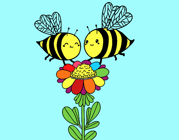 Pareja de abejas