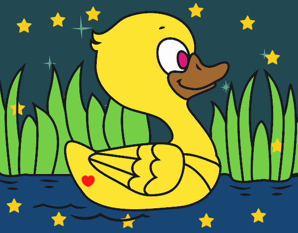 Patito de río