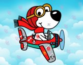 Perro piloto