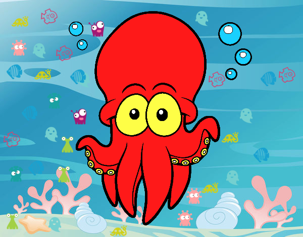 Pulpo rojo