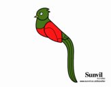 Quetzal