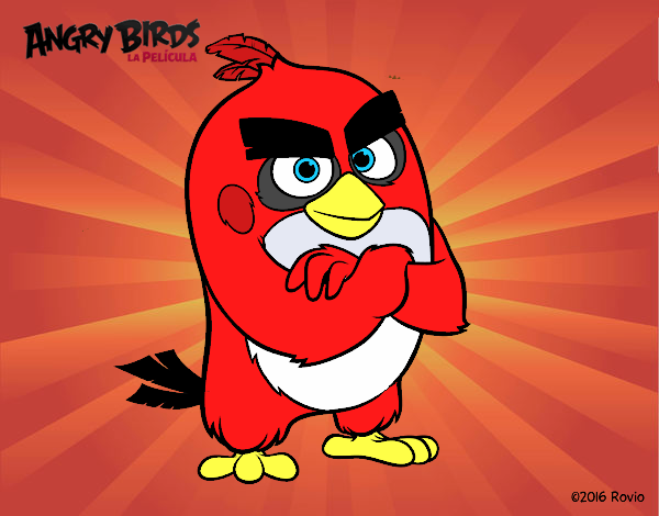 Red de Angry Birds