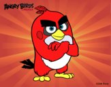 Red de Angry Birds