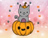 Un gatito de Halloween