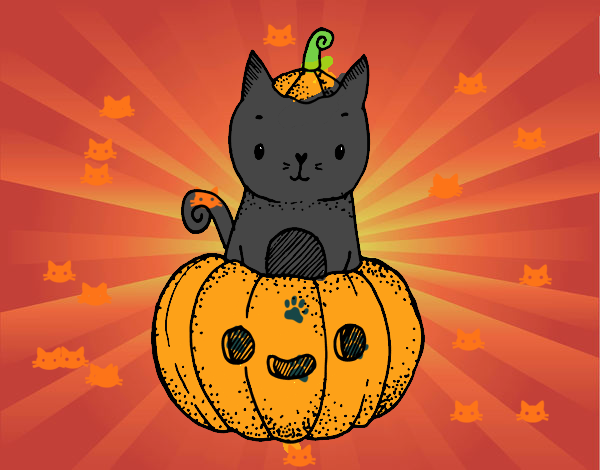 Un gatito de Halloween