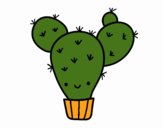 Cactus nopal